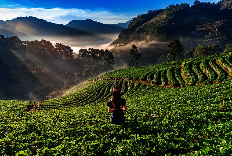 Visit Arunachal Pradesh