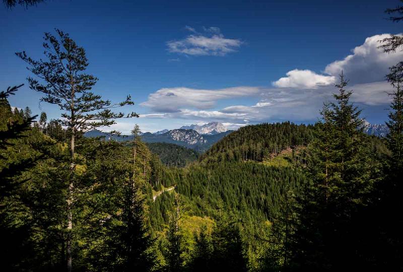 Visit Himachal Pradesh