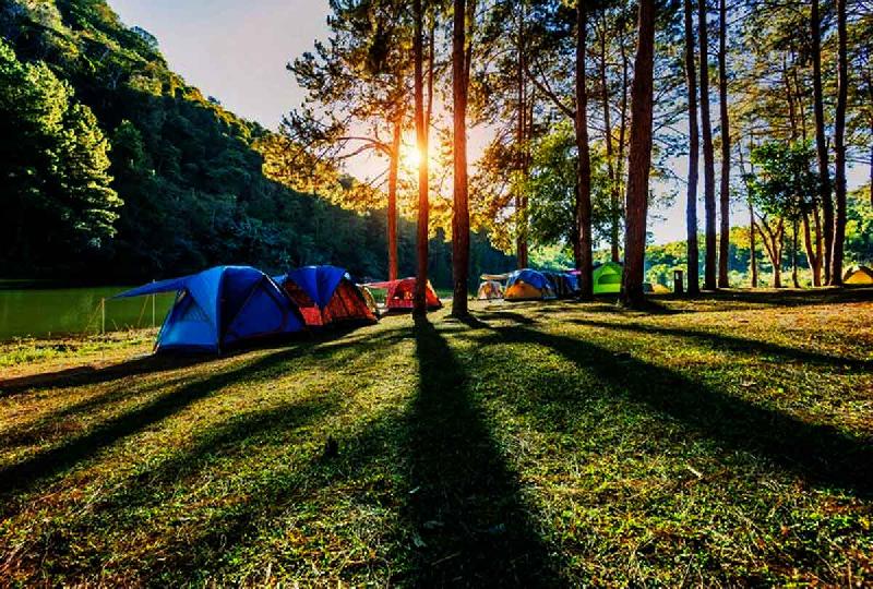 Himachal Pradesh Trekking