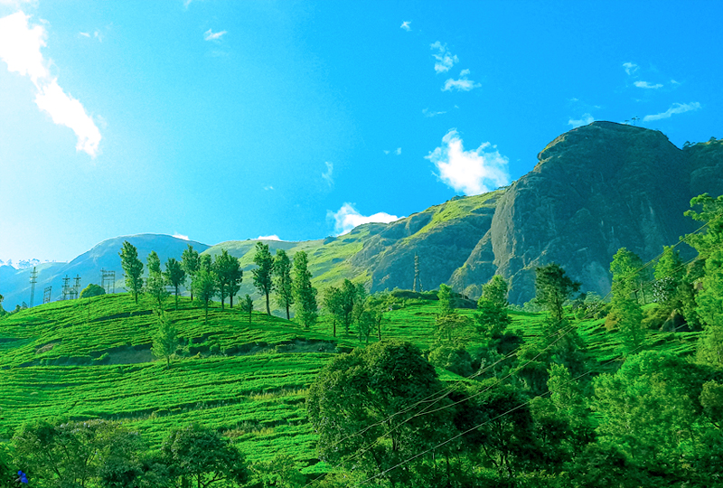 Visit Kerala