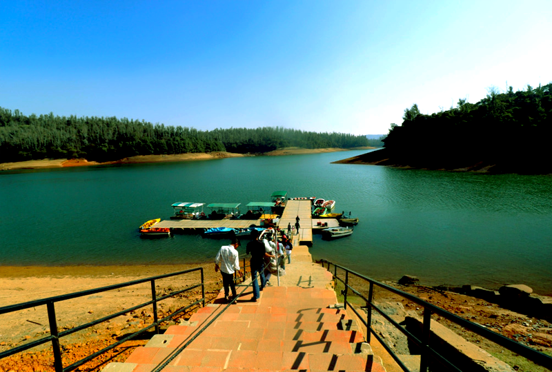 Visit Ooty, Coorg, Mysore & Bangalore