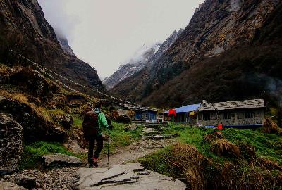 Visit Darjeeling and Gangtok