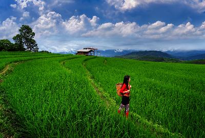 Visit Arunachal Pradesh