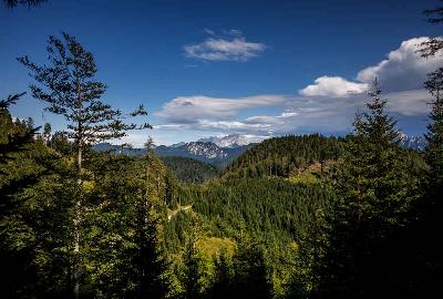 Visit Himachal Pradesh