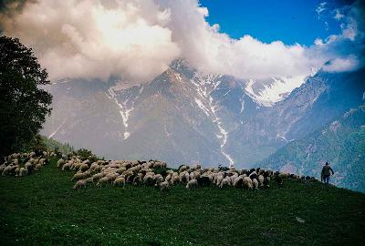 Visit Himachal Pradesh