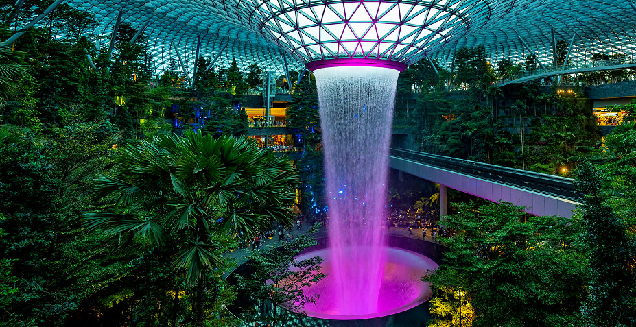 International Travel