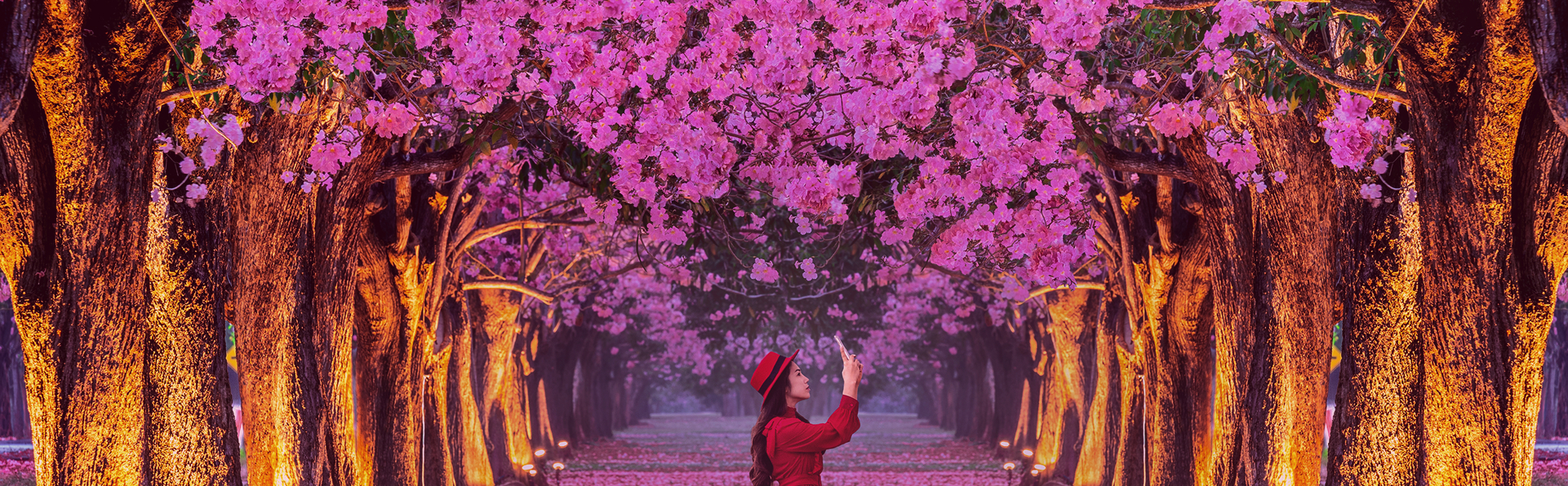 International Travel La Exotic