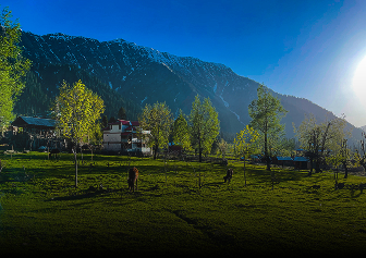 Kashmir Summer Special Packages