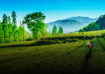 Himachal Pradesh Summer Special Packages